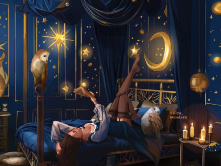 Witch s Bedroom And Her Owls Companions For Discount