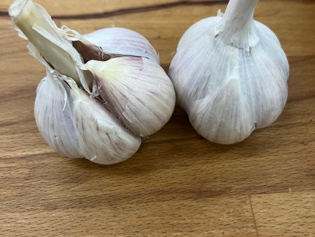 Garlic bulb from Mennonite Farm Fashion