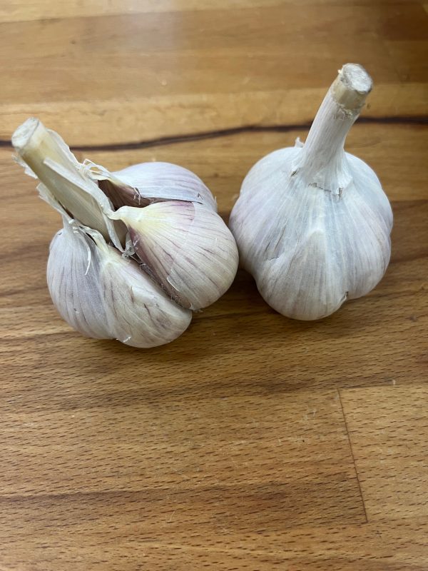 Garlic bulb from Mennonite Farm Fashion