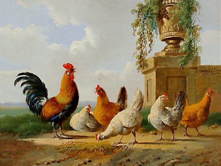 A Rooster With Hens And Chicks | Albertus Verhoesen Online now