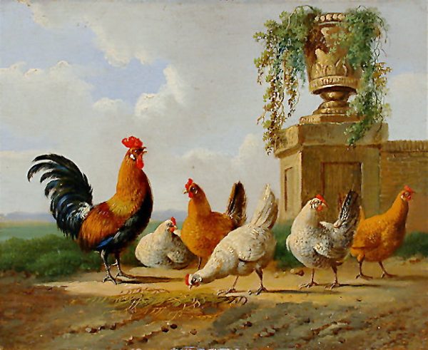 A Rooster With Hens And Chicks | Albertus Verhoesen Online now